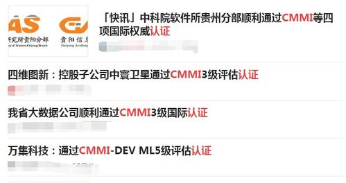 CMMI認(rèn)證 挑戰(zhàn)與價(jià)值——為何軟件服務(wù)企業(yè)爭相申請